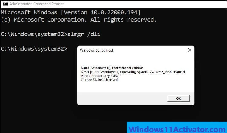 Windows 11 Activator Safe For us